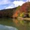 茶臼山高原　紅葉